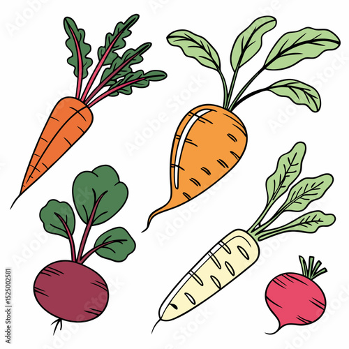 Cartoon illustration of root vegetables