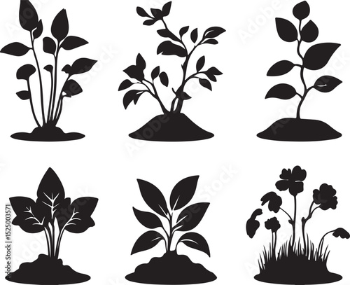 Black and White Plant Silhouettes: Vector Graphic Set of Seedlings, Sprouts, and Young Plants for Garden, Nature, and Growth Concepts