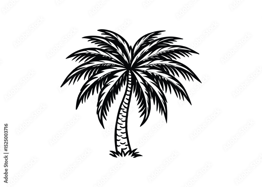 Fototapeta premium Silhouette of palm isolated on a white background