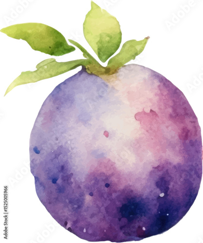 Watercolor painted passion fruit. Hand drawn fresh food design element isolated on white background.