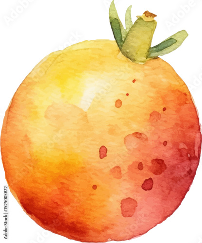 Watercolor painted passion fruit. Hand drawn fresh food design element isolated on white background.