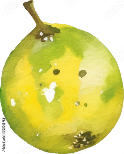 Watercolor painted passion fruit. Hand drawn fresh food design element isolated on white background.