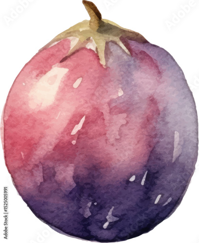 Watercolor painted passion fruit. Hand drawn fresh food design element isolated on white background.
