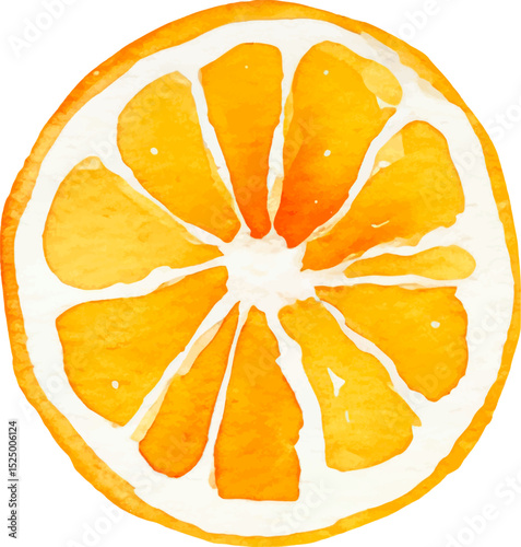 Watercolor painted orange fruit. Hand drawn fresh food design element isolated on white background.