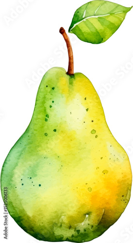 Watercolor painted pear fruit. Hand drawn fresh food design element isolated on white background.