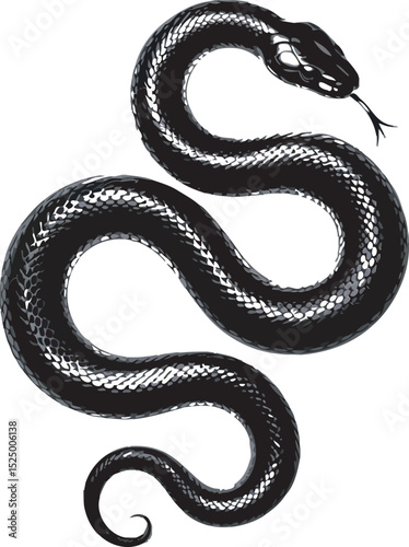 Intricate illustration of a black snake with detailed scales on a white background