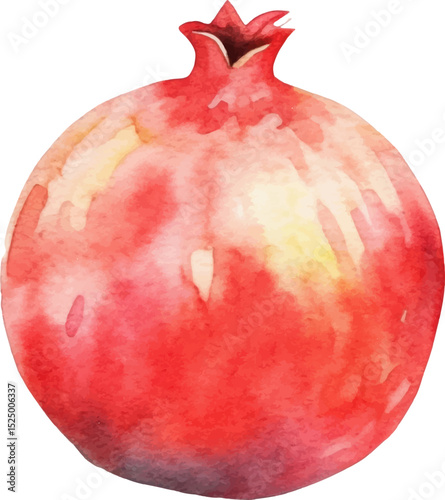 Watercolor painted pomegranate fruit. Hand drawn fresh food design element isolated on white background.