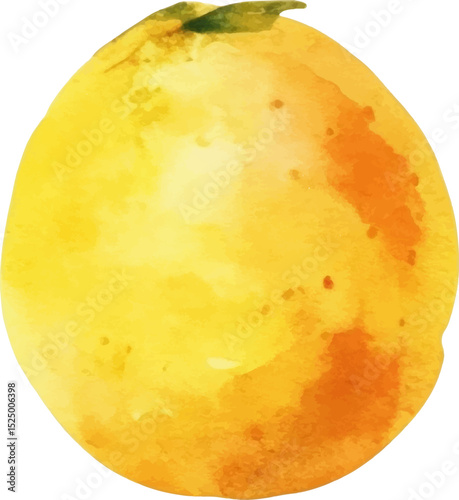Watercolor painted passion fruit. Hand drawn fresh food design element isolated on white background.