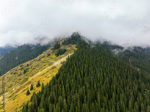 A wide aerial shot revealing a majestic mountain ridge densely covered with evergreen trees, with misty clouds clinging to its peaks