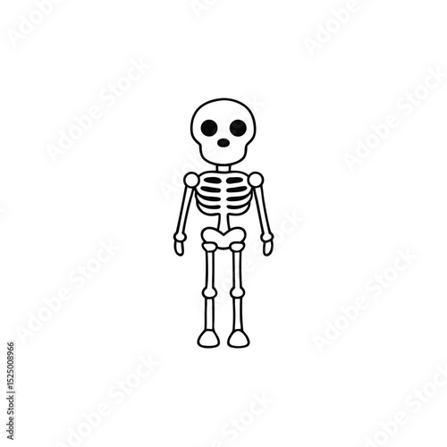 Skeleton – with white background