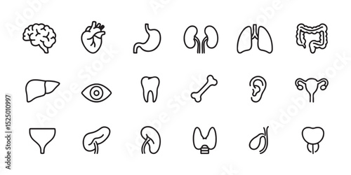 Medical Organs Icon Set - Human Anatomy Vector Illustration with Brain, Heart, Lungs, Liver, Stomach, Kidneys, Intestines, Bladder, Uterus, Spleen, Thyroid, Eye, Tooth, Bone, Ear, Testicle, Prostate