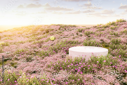 Natural field scene with podium