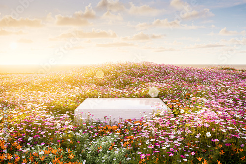 Fototapeta Naklejka Na Ścianę i Meble -  Natural field scene with podium