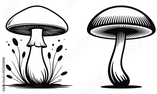 vector illustration of mushroom