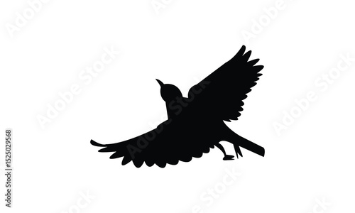 Flying Altamira oriole bird Silhouette Design  And Vector Illustration. 