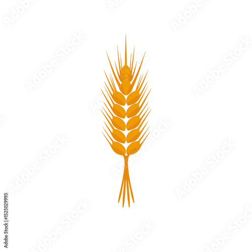 Golden Wheat Stalk Illustration on White Background, Representing Agriculture and Harvest Season