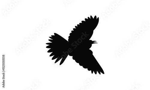 Flying Altamira oriole bird Silhouette Design  And Vector Illustration. 