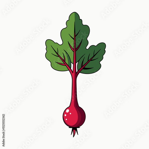 Illustration of a Fresh Red Beetroot with Green Leaves, Isolated on White Background, Vector Graphic