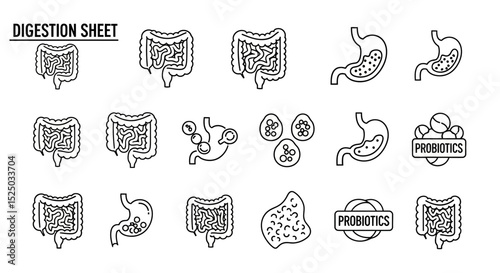 Digestive System Icons Intestines, Stomach, Probiotics, Gut Health Illustrations