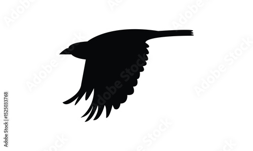 Flying Altamira oriole bird Silhouette Design  And Vector Illustration. 