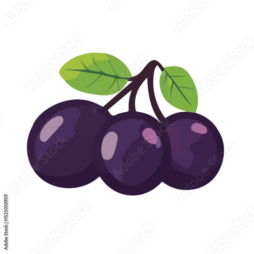 My Simple flat 2D icon prunes group isolated on transparent background, vector, flat design, animation design, vector, flat design, animation design, simple flat 2D icon, minimalist design