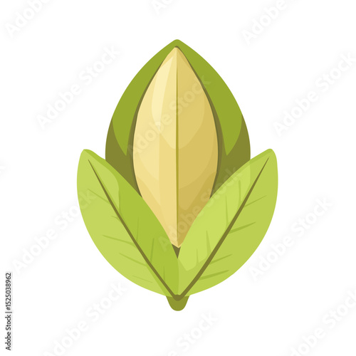 My Simple flat 2D icon pistachio isolated on transparent background, vector, flat design, animation design, vector, flat design, animation design, simple flat 2D icon, minimalist design