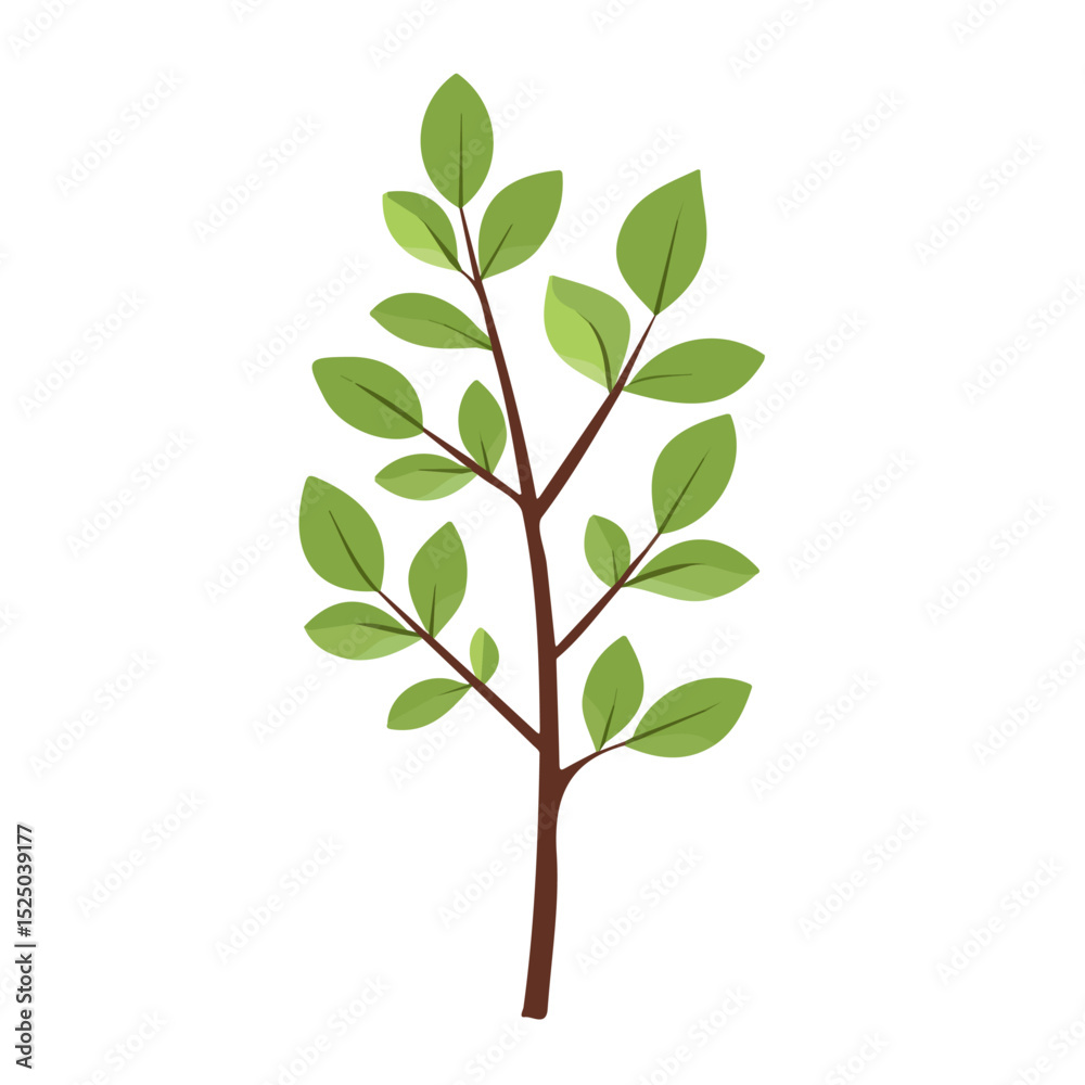 Fototapeta premium Simple flat 2D icon licorice plant isolated on transparent background, vector, flat design, animation design, vector, flat design, animation design, simple flat 2D icon, minimalist design, clipart