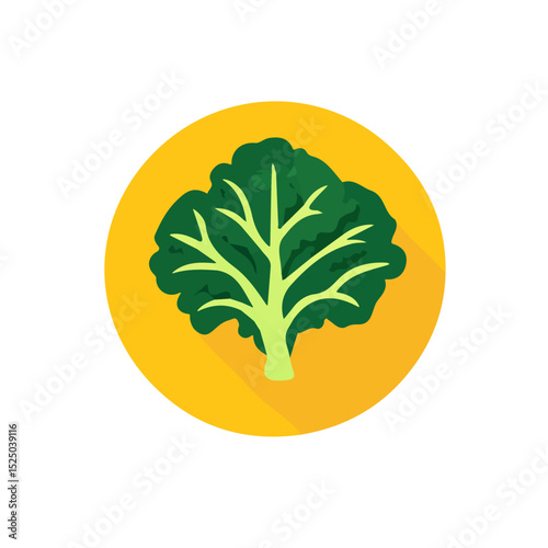 My Simple flat 2D icon sliced kale isolated on transparent background, vector, flat design, animation design, vector, flat design, animation design, simple flat 2D icon, minimalist design