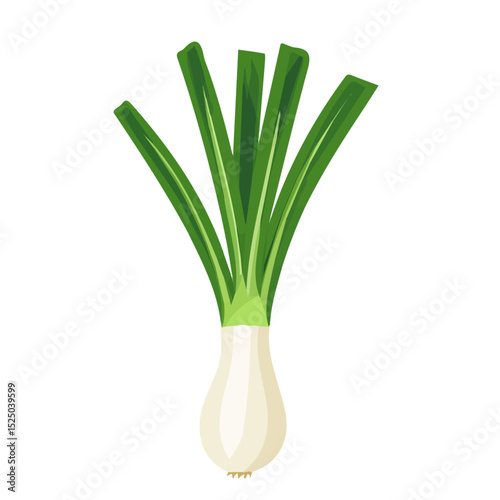 My Simple flat 2D whole leek icon on a transparent background, high-resolution vector illustration, minimalist clipart, suitable for print and digital design, clipart icon set