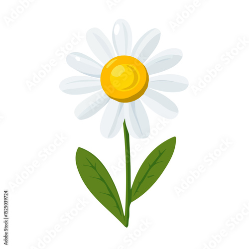 My Simple flat 2D chamomile icon on a transparent background, high-resolution vector illustration, minimalist clipart, suitable for print and digital design, clipart icon set