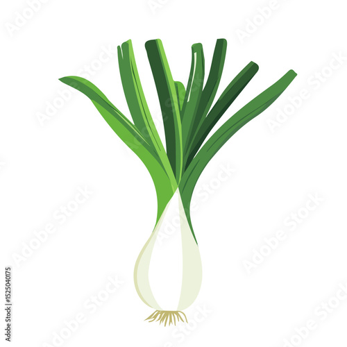 My Simple flat 2D whole leek icon on a transparent background, high-resolution vector illustration, minimalist clipart, suitable for print and digital design, clipart icon set	