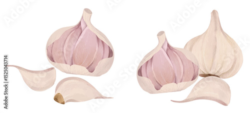 Garlic Spice Collection Illustration, Food Culinary Design