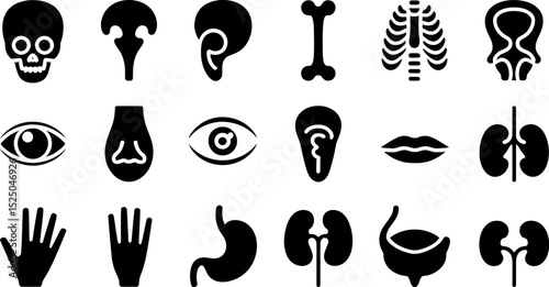 Anatomy organs icons vector illustration set human body parts medical science diagram healthcare and medicine editable stock vector illustration