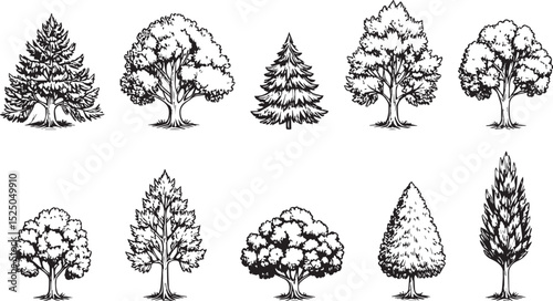 Set of Hand-Drawn Trees: Diverse Sketch Collection