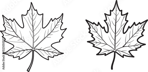 maple leaf silhouette, leaf icon vector, autumn leaf clipart, Canadian leaf shape, nature leaf outline, maple tree leaf, fall foliage graphic, maple leaf sketch, botanical leaf silhouette