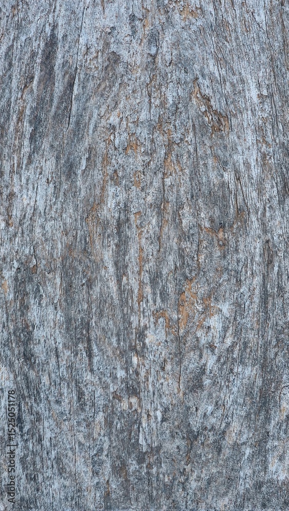 Weathered wood texture background Weathered wood texture background