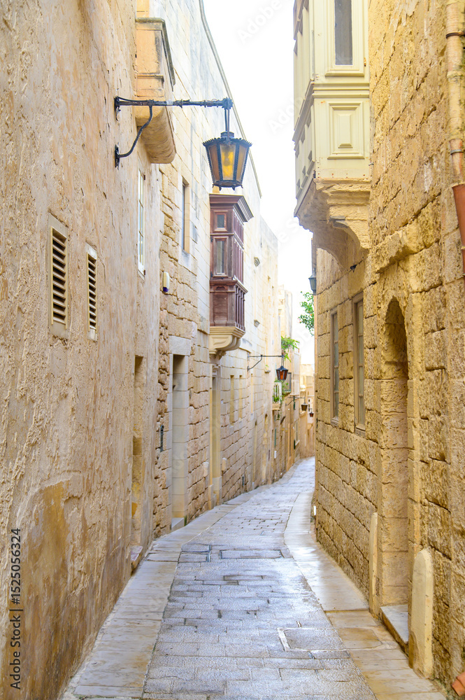 Fototapeta premium A beautiful view of Mdina, the oldest city in Malta