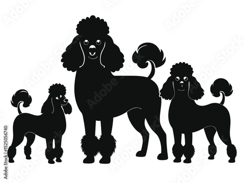 Three stylized black poodle silhouettes standing side by side on a white background vector