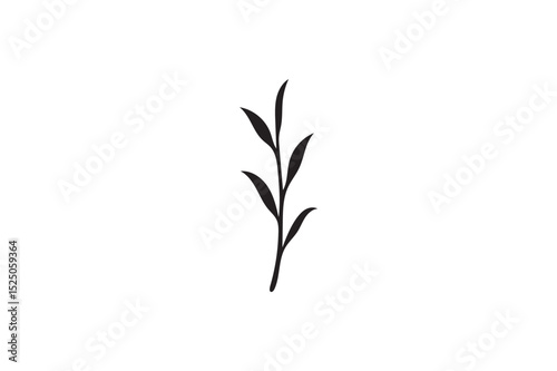 Stalk silhouette on white background.01