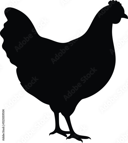 Detailed Silhouette of a Chicken Standing Against a White Background