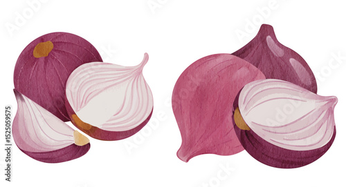Red Onion, Shallot Vegetable Spice Illustration
