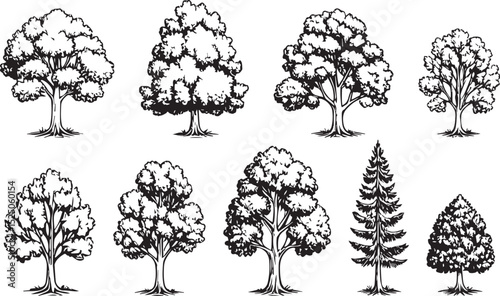 Black and White Forest Elements: Vintage Tree Illustrations