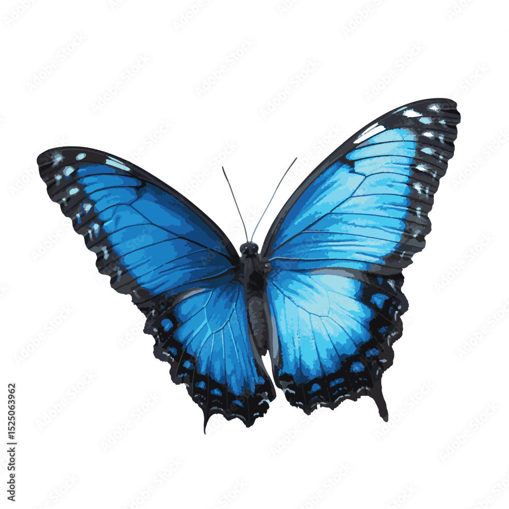 Obraz premium design786_Beautiful_blue_butterfly_isolated_on_a_white_backgrou_9b63bbdd-2f4a-4c29-9e1d-b440cf4c95ab_traced