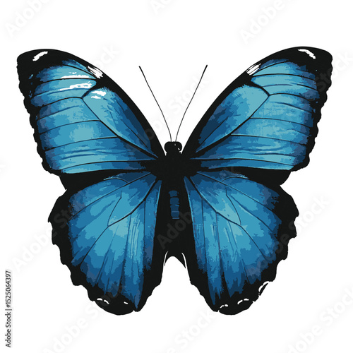 design786_Blue_Morpho_Butterfly_white_background_photorealistic_dc18fc0c-7d7c-43fa-85eb-816554e4e9be_traced