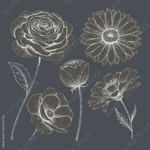 Beautiful floral illustration featuring variety of flowers including rose, daisy, and peony, showcasing intricate details and elegant lines