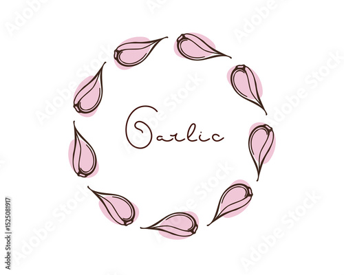 Round Garlic clove Spice Frame. Doodle sketch vector illustration with inscription on white. Seasoning for food. Organic product sketch for packaging, sales, shops sign. Flavor cooking ingredient.