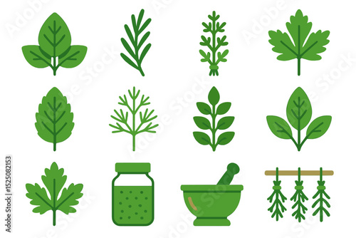 Various green herbs with mortar and pestle on green background