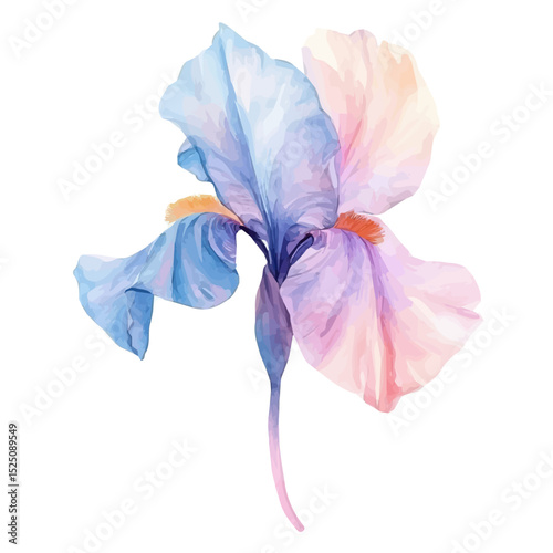 My Watercolor illustration, purple iris flower painting isolated on a white background, illustration, AI painting design, vector set, eps format design,