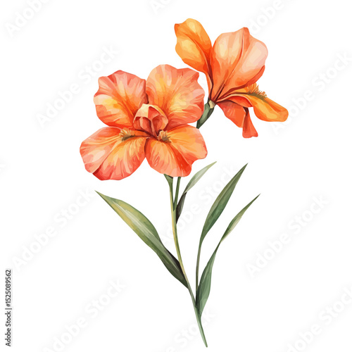 My a Watercolor illustration, orange iris flower painting isolated on a white background, illustration, AI painting design, vector set, eps format design,