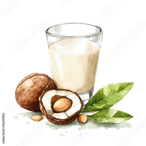 My Watercolor illustration, illustration macadamia milk painting isolated on a white background, illustration, AI painting design, vector illustration set, eps format	